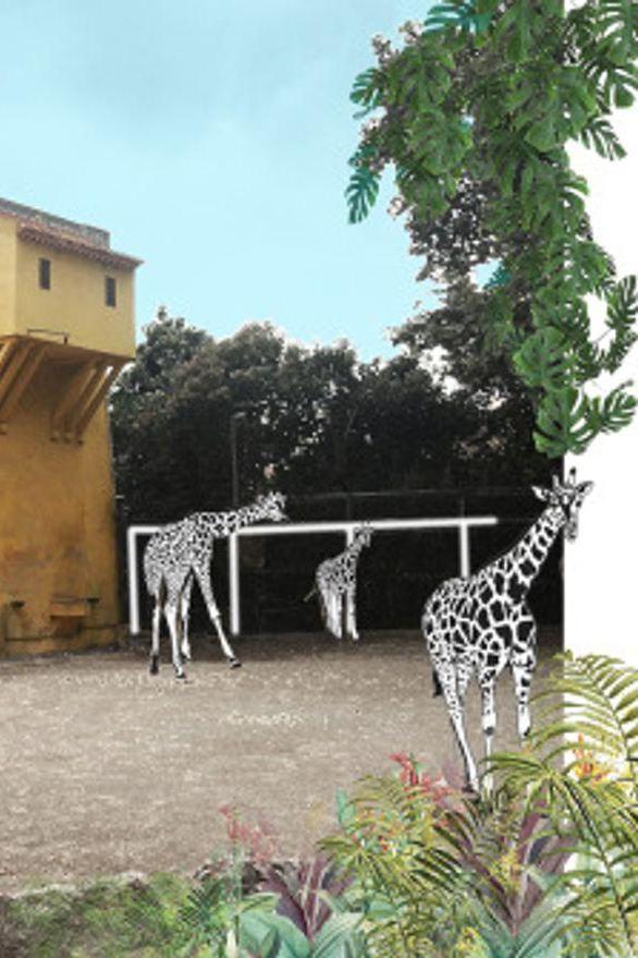 Lisbon Zoo